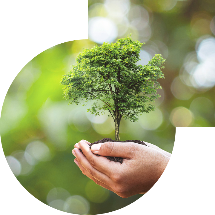 關懷人類、文化、環境與社會